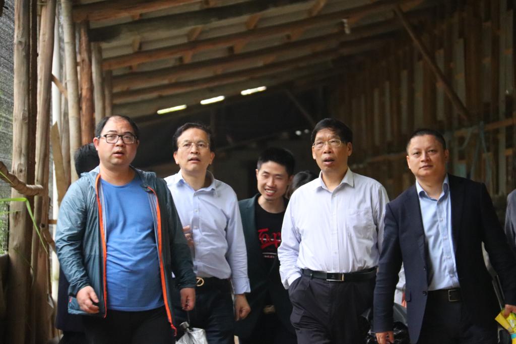 三个学院师生一行参观银耳菇棚 三个学院师生一行参观银耳菇棚